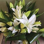 A Simple White Oriental Lilies