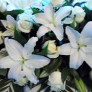 Florist Choice whites and creams Coffin spray