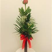 Single Rose In Vase