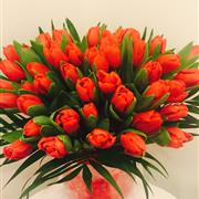 Tulips With Love