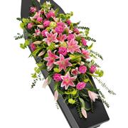  A Pink Rose &amp; Lily Casket Spray