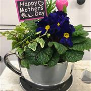 Happy Mother's Day Teacup  planter