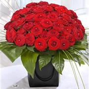 Ultimate love 50 red roses