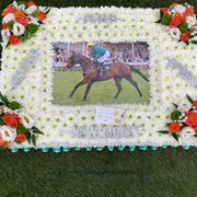 Horse Racing Tribute 