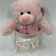 Pink Teddy New Baby Girl