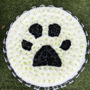 Dog paw Posy