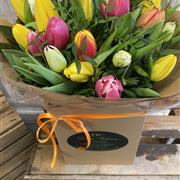 A Tulip Surprise Mother's Day Special 