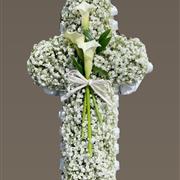 Gypsophylia Based Cross