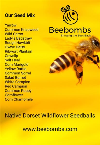 Corn Chamomile — Beebombs